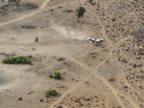 Customer Photo of NatureEye Remote Drone Experience